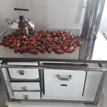 Pousada Viva Serra-3